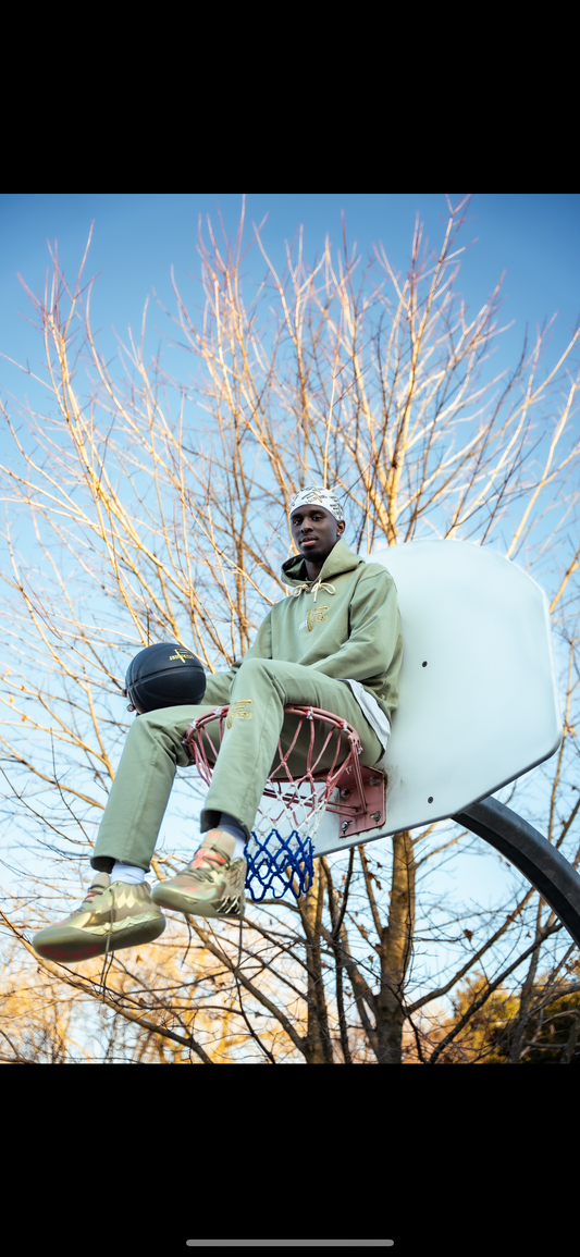 JBH Fresh Light olive silk hooded sweater