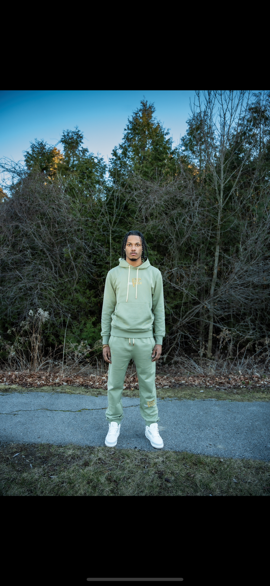 JBH Fresh Light olive silk hooded sweater